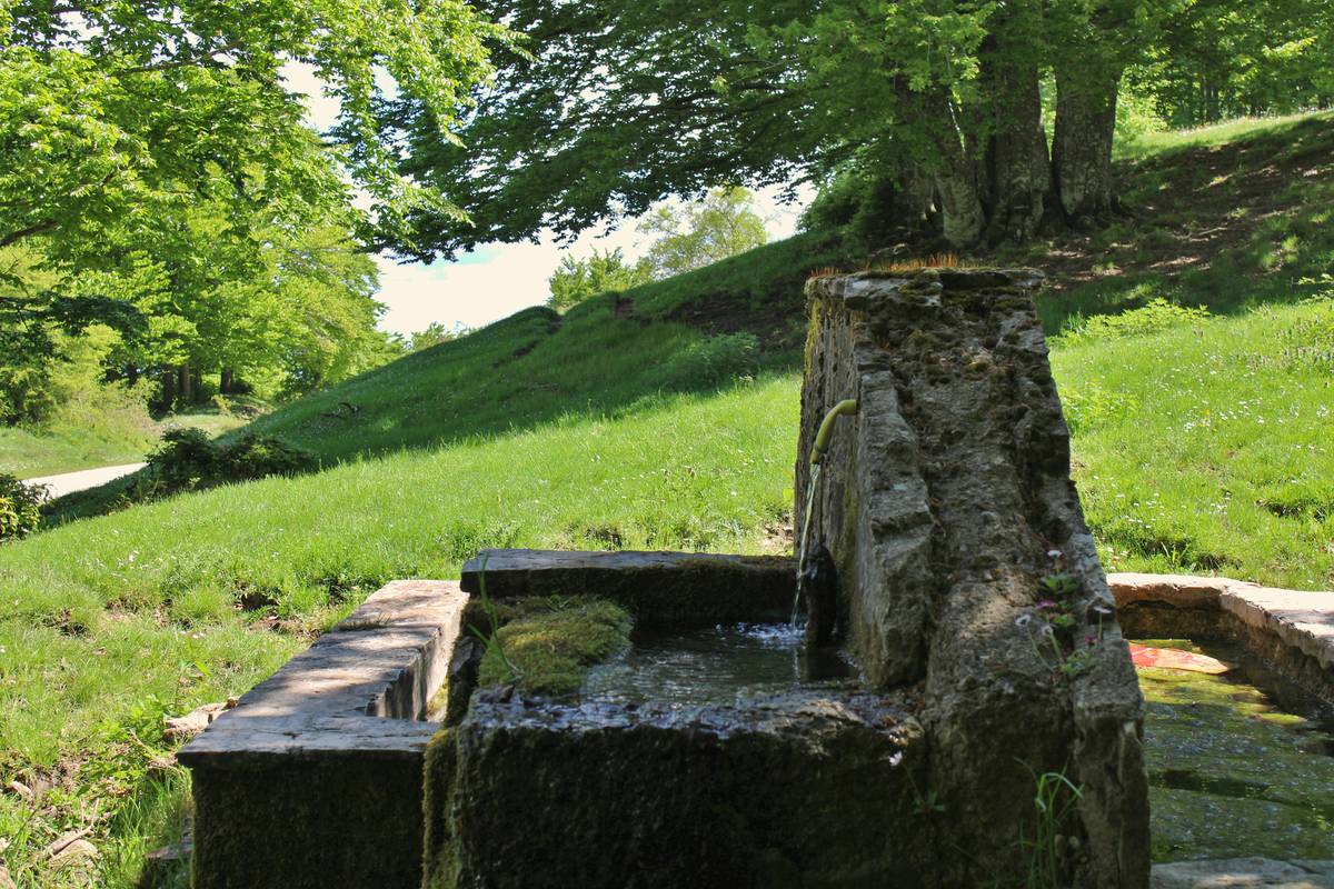 Outdoor Fountains Phoenix: 7 Proven Tips to Avoid Costly Mistakes