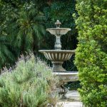 Water Feature Fountain How to Keep: 7 Proven Tips to Avoid Costly Mistakes
