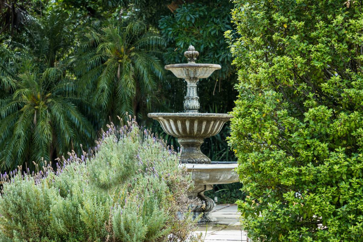 Water Feature Fountain How to Keep: 7 Proven Tips to Avoid Costly Mistakes